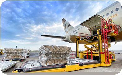 Luggage and Cargo Security